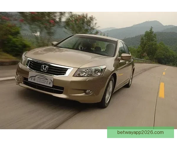 必威体育登录全面解析与最新功能使用攻略详解