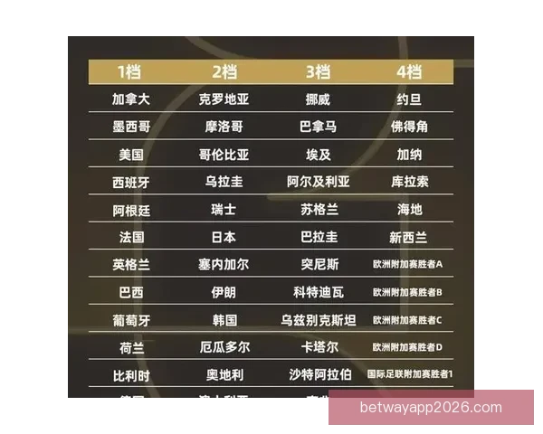 世界杯竞猜专家深度解析赛程走势与热门球队胜负预测指南